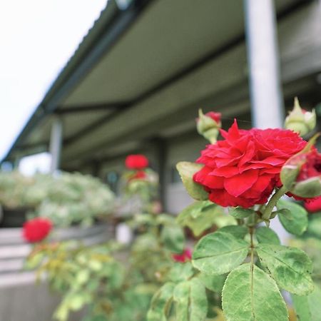 Taitung City-Cottage B&B エクステリア 写真