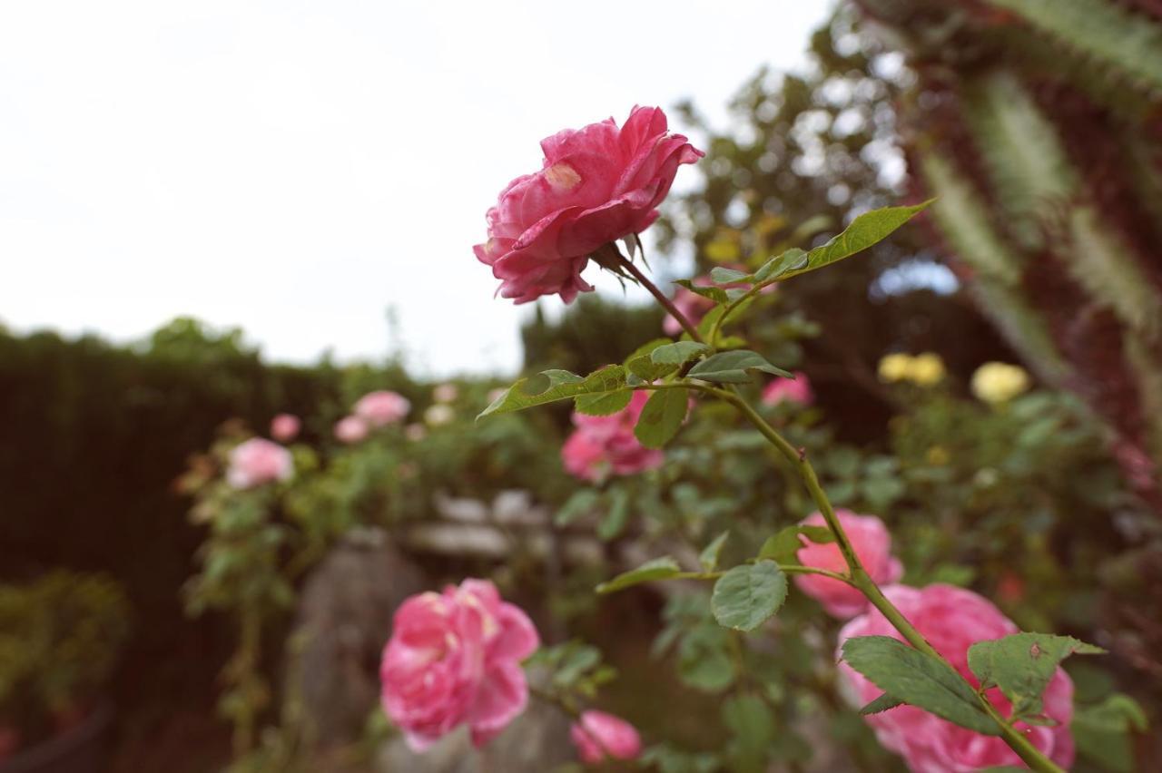 Taitung City-Cottage B&B エクステリア 写真